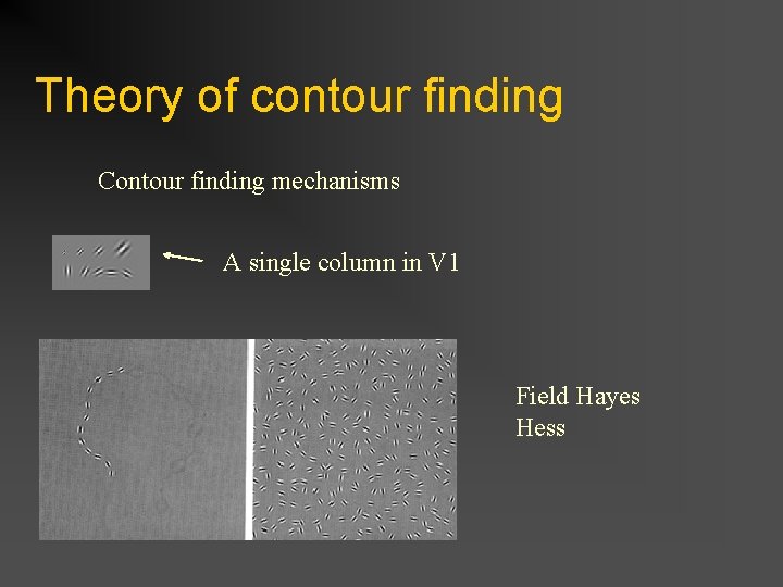 Theory of contour finding Contour finding mechanisms A single column in V 1 Field