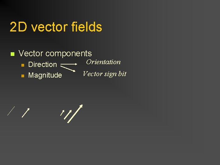 2 D vector fields n Vector components n n Direction Magnitude Orientation Vector sign