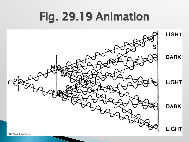 Fig. 29. 19 Animation 
