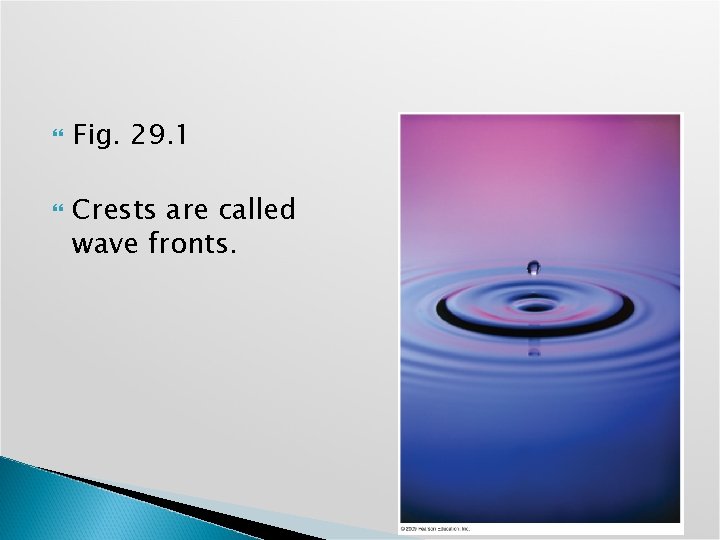  Fig. 29. 1 Crests are called wave fronts. 