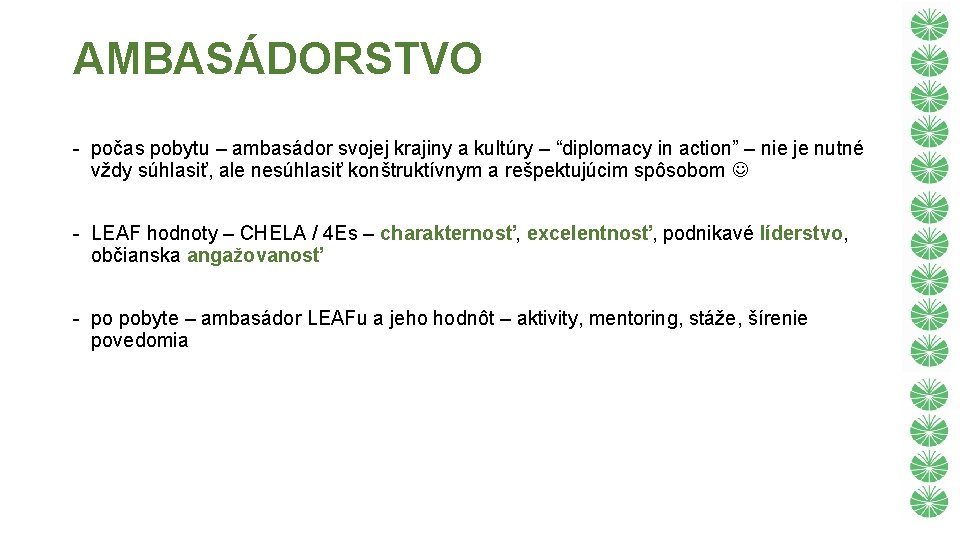 AMBASÁDORSTVO - počas pobytu – ambasádor svojej krajiny a kultúry – “diplomacy in action”