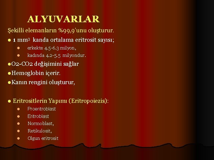 ALYUVARLAR Şekilli elemanların %99, 9’unu oluşturur. l 1 mm 3 kanda ortalama eritrosit sayısı;