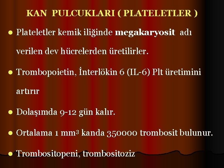 KAN PULCUKLARI ( PLATELETLER ) l Plateletler kemik iliğinde megakaryosit adı verilen dev hücrelerden