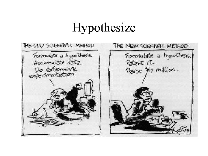 Hypothesize 