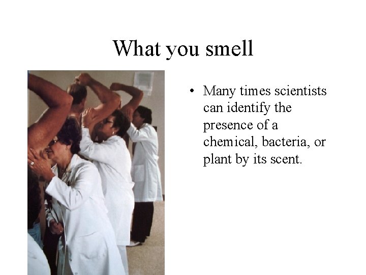 What you smell • Many times scientists can identify the presence of a chemical,