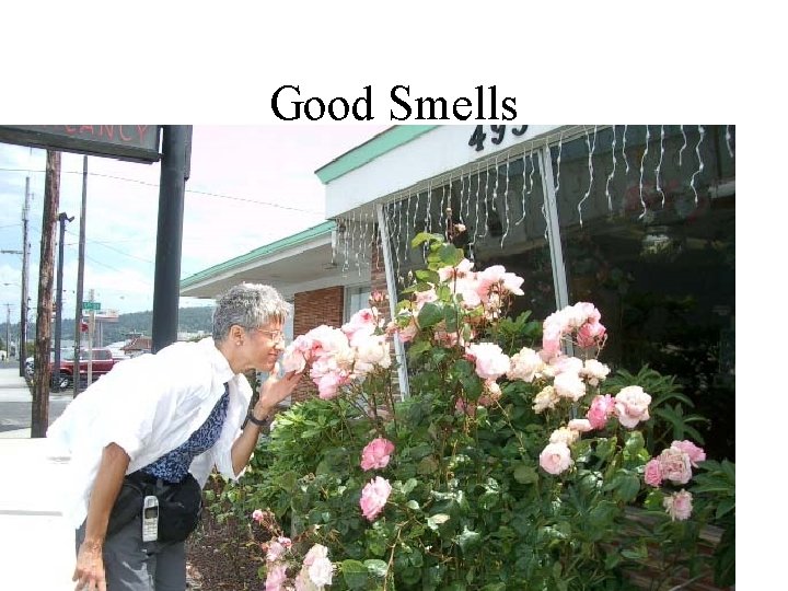 Good Smells 
