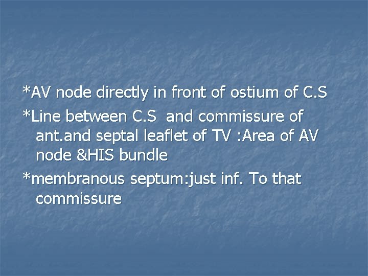 *AV node directly in front of ostium of C. S *Line between C. S