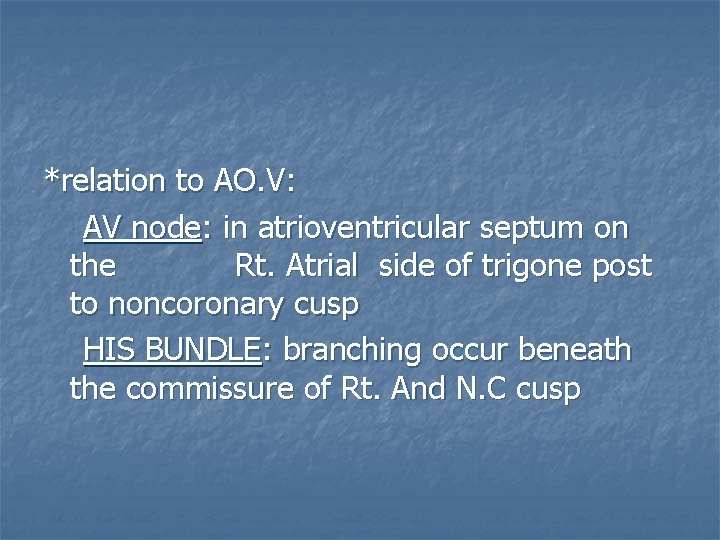 *relation to AO. V: AV node: in atrioventricular septum on the Rt. Atrial side