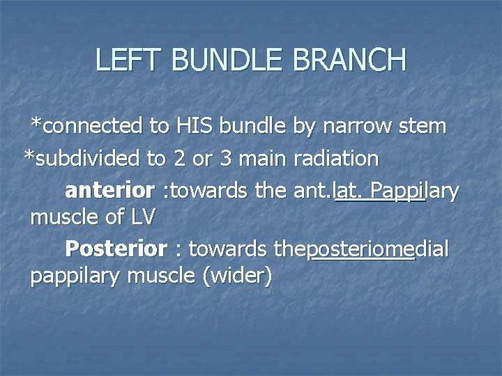 LEFT BUNDLE BRANCH *connected to HIS bundle by narrow stem *subdivided to 2 or