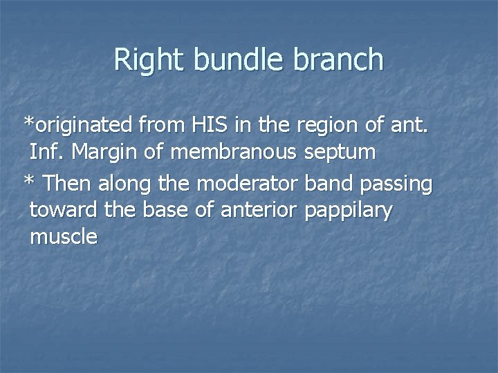 Right bundle branch *originated from HIS in the region of ant. Inf. Margin of