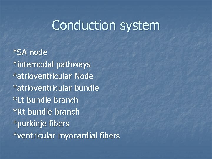 Conduction system *SA node *internodal pathways *atrioventricular Node *atrioventricular bundle *Lt bundle branch *Rt