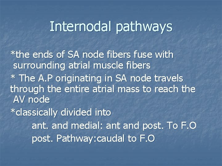 Internodal pathways *the ends of SA node fibers fuse with surrounding atrial muscle fibers