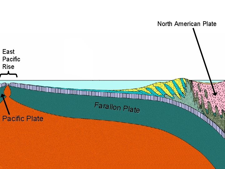 North American Plate East Pacific Rise Pacific Plate Farallon P late 