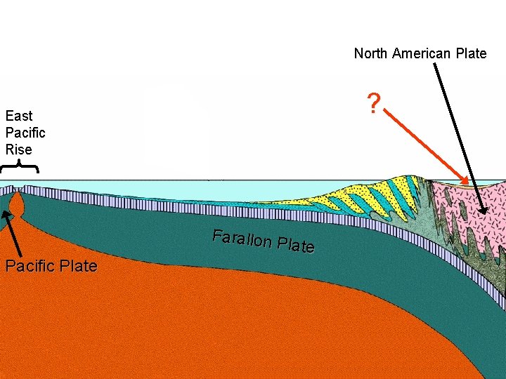 North American Plate ? East Pacific Rise Pacific Plate Farallon P late 