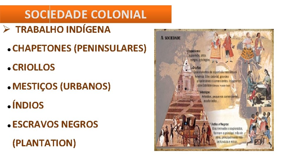 SOCIEDADE COLONIAL TRABALHO INDÍGENA CHAPETONES (PENINSULARES) CRIOLLOS MESTIÇOS (URBANOS) ÍNDIOS ESCRAVOS NEGROS (PLANTATION) 