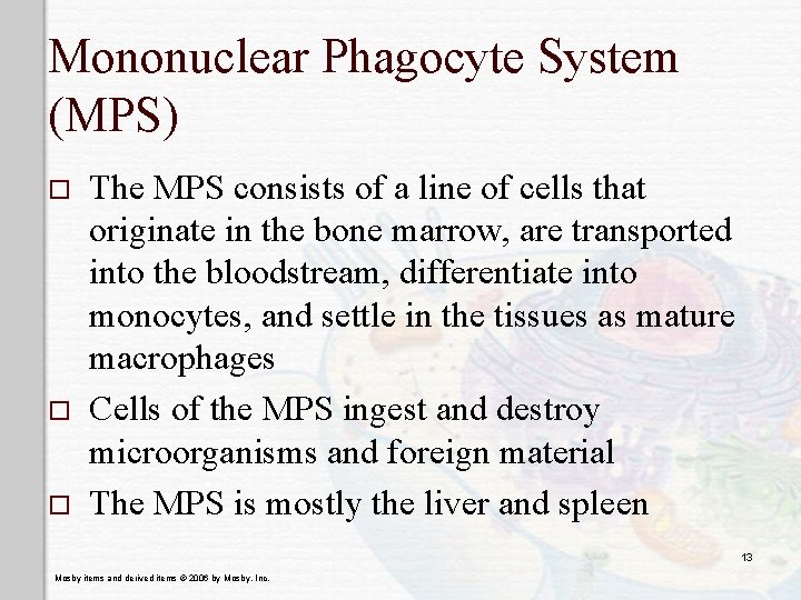 Mononuclear Phagocyte System (MPS) o o o The MPS consists of a line of