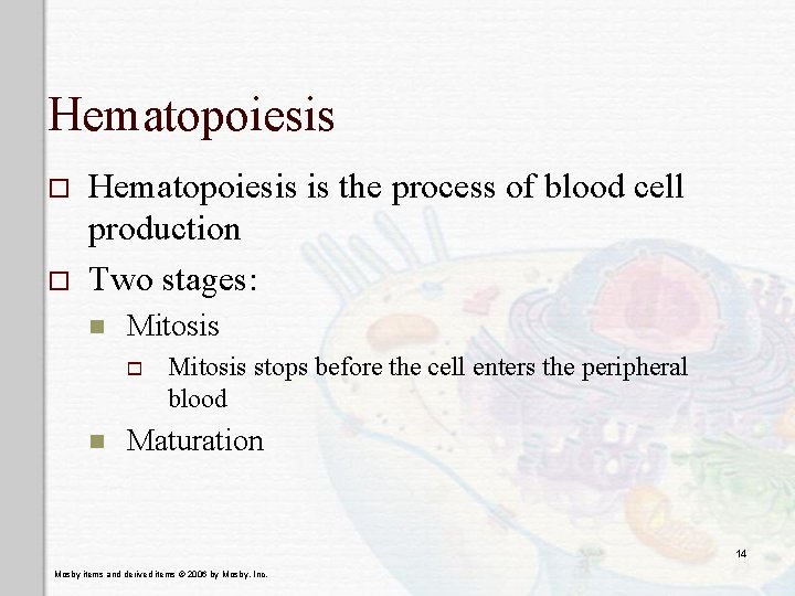 Hematopoiesis o o Hematopoiesis is the process of blood cell production Two stages: n