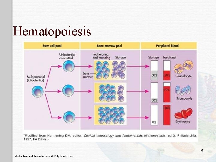 Hematopoiesis 15 Mosby items and derived items © 2006 by Mosby, Inc. 