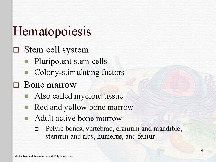 Hematopoiesis o Stem cell system n n o Pluripotent stem cells Colony-stimulating factors Bone
