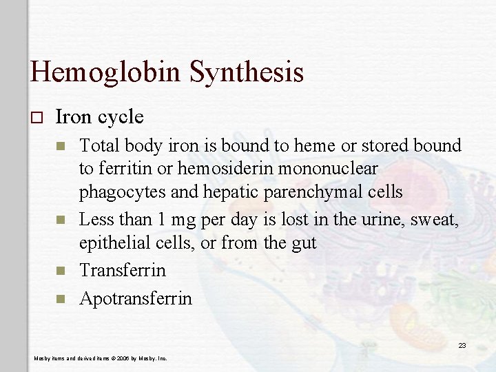 Hemoglobin Synthesis o Iron cycle n n Total body iron is bound to heme
