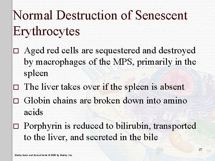 Normal Destruction of Senescent Erythrocytes o o Aged red cells are sequestered and destroyed