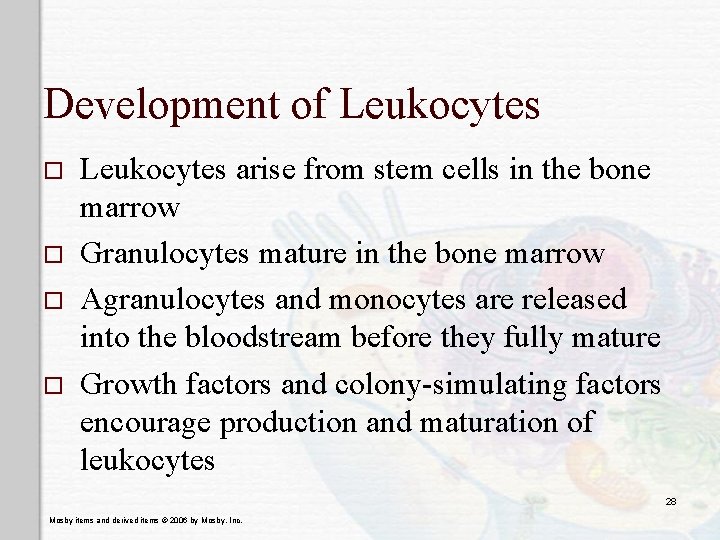 Development of Leukocytes o o Leukocytes arise from stem cells in the bone marrow