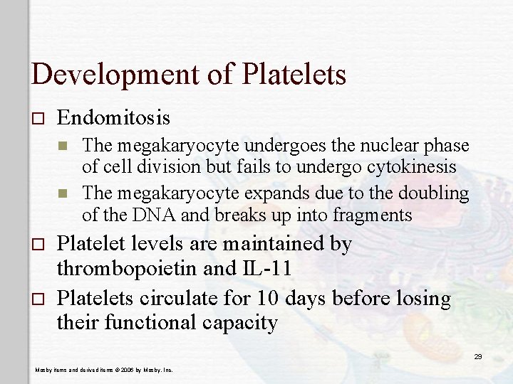 Development of Platelets o Endomitosis n n o o The megakaryocyte undergoes the nuclear