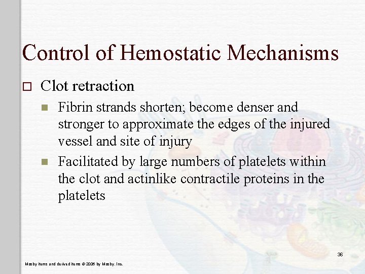 Control of Hemostatic Mechanisms o Clot retraction n n Fibrin strands shorten; become denser