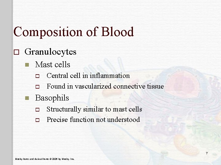 Composition of Blood o Granulocytes n Mast cells o o n Central cell in