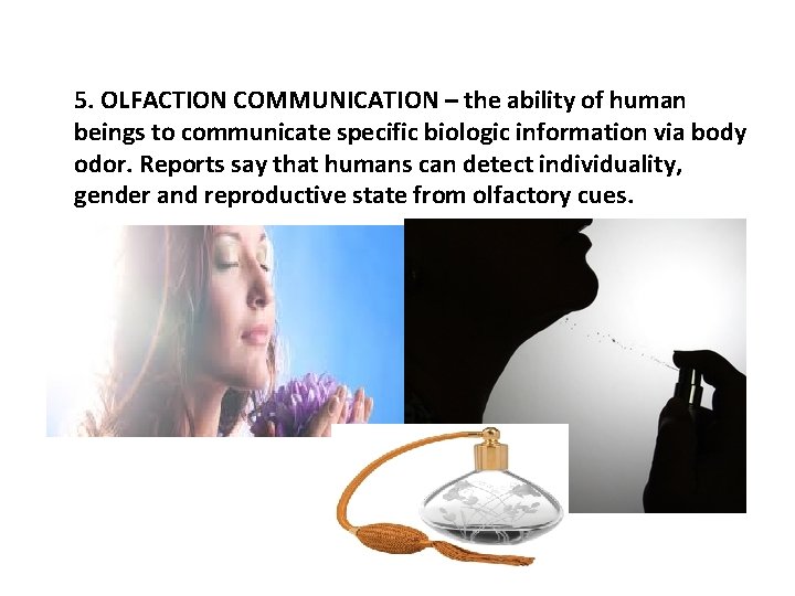 5. OLFACTION COMMUNICATION – the ability of human beings to communicate specific biologic information