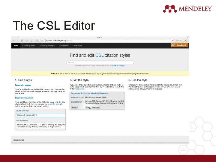 The CSL Editor 