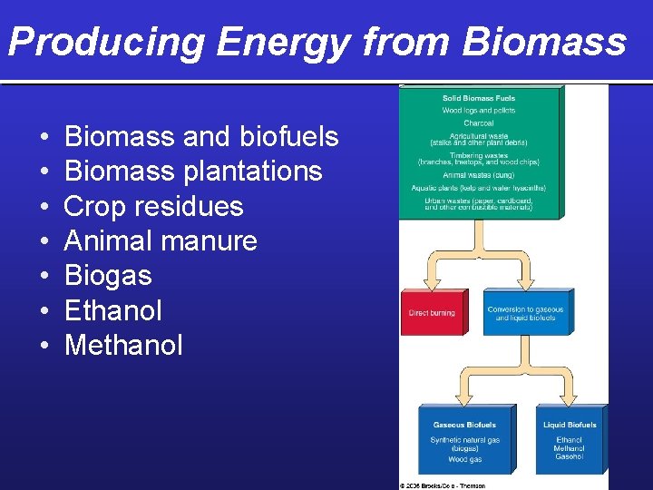 Producing Energy from Biomass • • Biomass and biofuels Biomass plantations Crop residues Animal