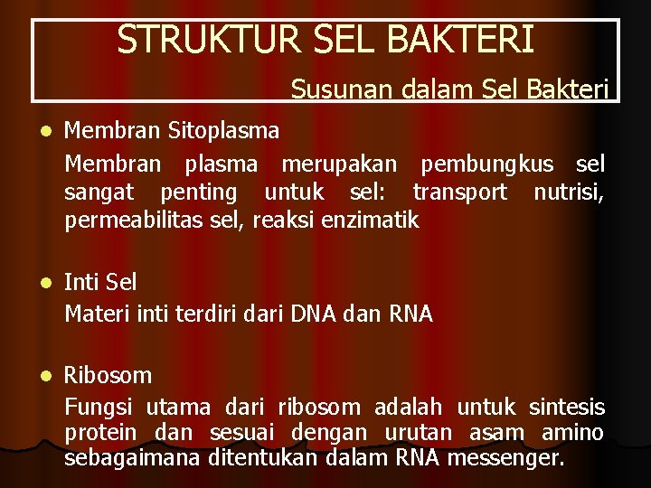 STRUKTUR SEL BAKTERI Susunan dalam Sel Bakteri l Membran Sitoplasma Membran plasma merupakan pembungkus