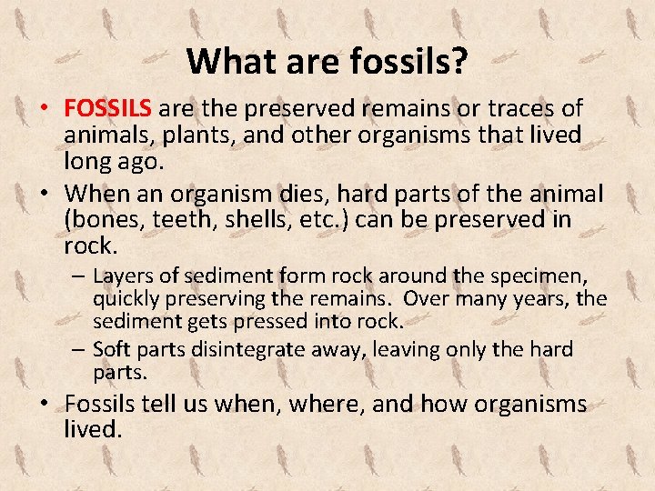 What are fossils? • FOSSILS are the preserved remains or traces of animals, plants,