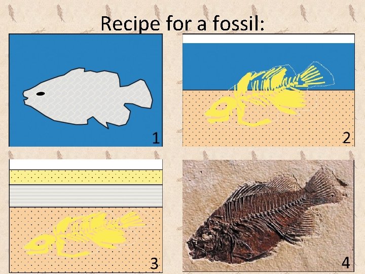 Recipe for a fossil: 