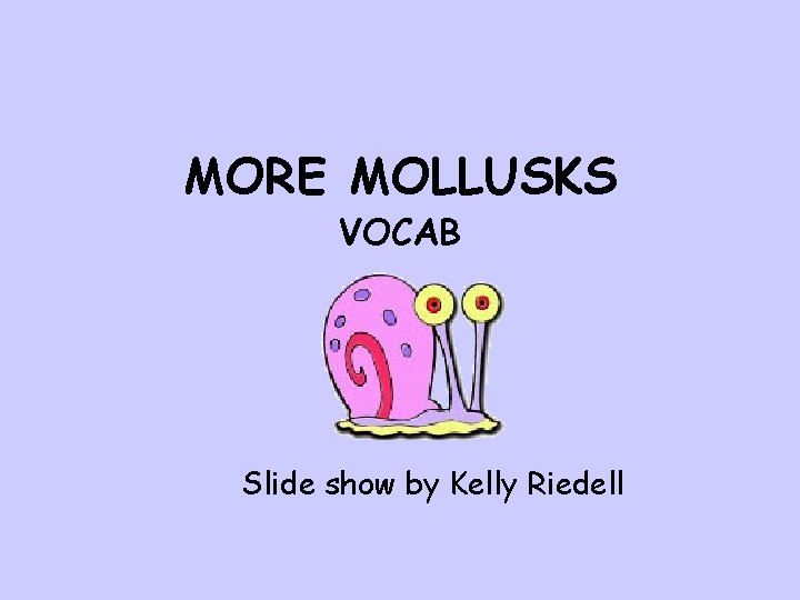 MORE MOLLUSKS VOCAB Slide show by Kelly Riedell 
