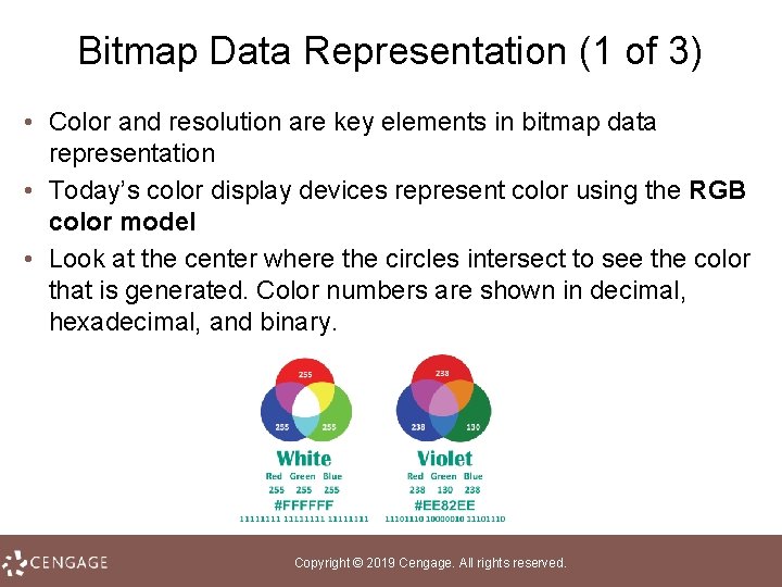 Bitmap Data Representation (1 of 3) • Color and resolution are key elements in