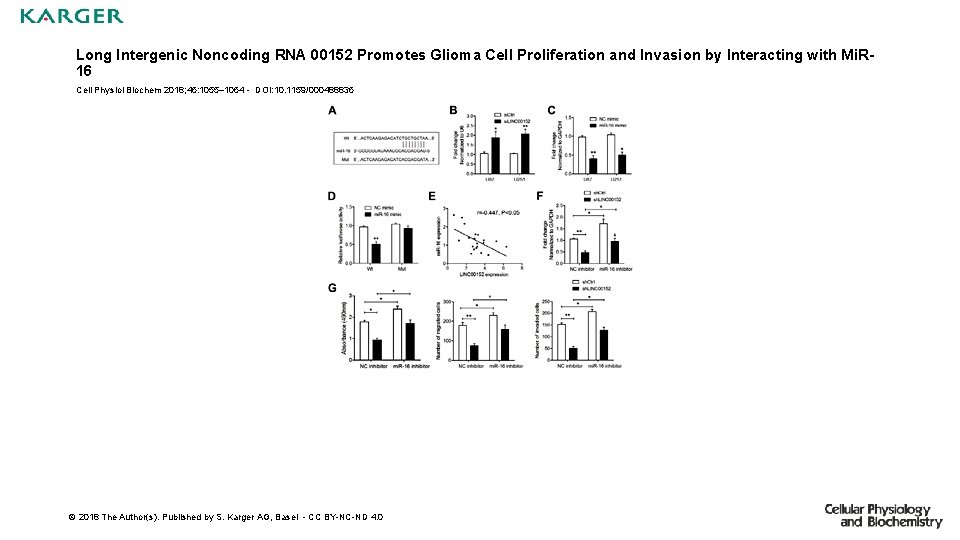 Long Intergenic Noncoding RNA 00152 Promotes Glioma Cell Proliferation and Invasion by Interacting with