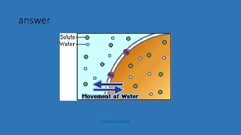 answer Question board 