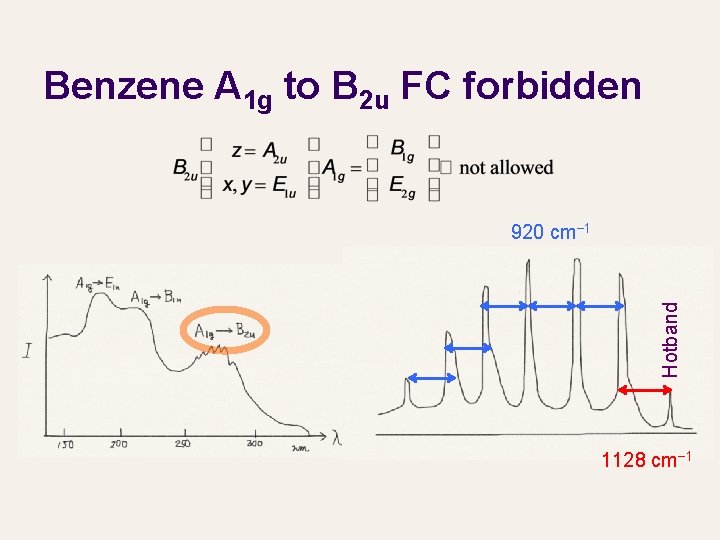Benzene A 1 g to B 2 u FC forbidden Hotband 920 cm− 1