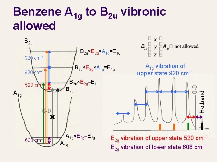 Benzene A 1 g to B 2 u vibronic allowed B 2 u×E 2