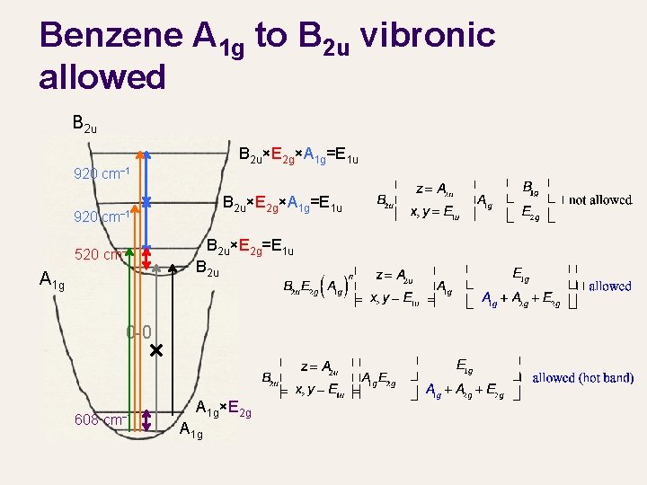 Benzene A 1 g to B 2 u vibronic allowed B 2 u×E 2