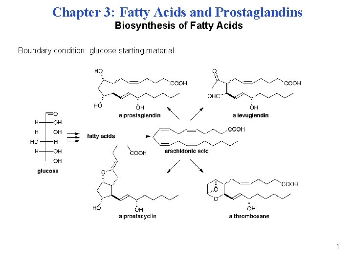 Chapter 3: Fatty Acids and Prostaglandins Biosynthesis of Fatty Acids Boundary condition: glucose starting