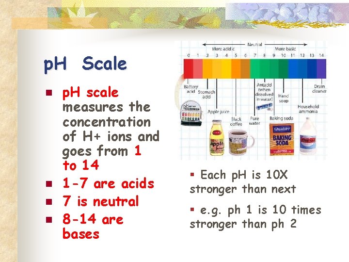 p. H Scale n n p. H scale measures the concentration of H+ ions