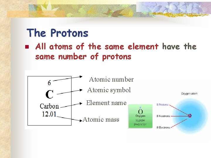 The Protons n All atoms of the same element have the same number of