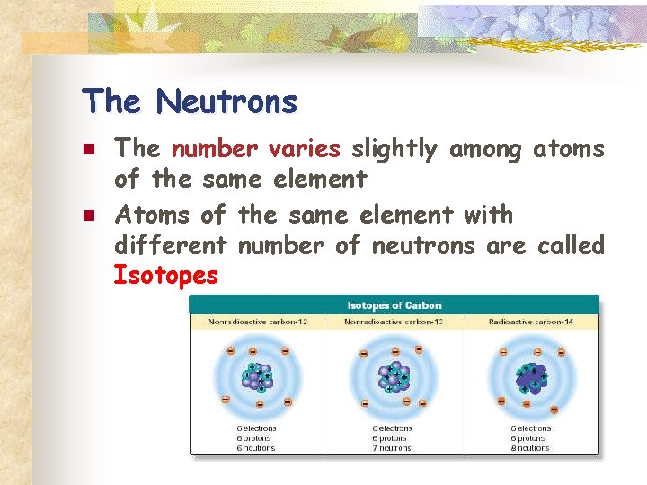 The Neutrons n n The number varies slightly among atoms of the same element