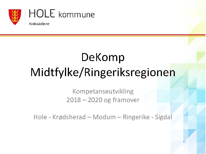 De. Komp Midtfylke/Ringeriksregionen Kompetanseutvikling 2018 – 2020 og framover Hole - Krødsherad – Modum