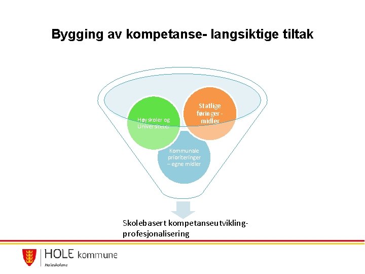 Bygging av kompetanse- langsiktige tiltak Høyskoler og Universiteter Statlige føringer midler Kommunale prioriteringer –