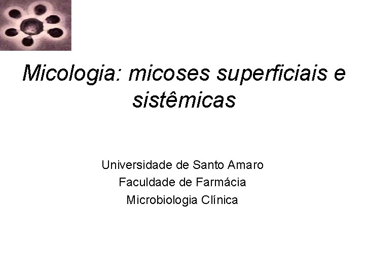 Micologia: micoses superficiais e sistêmicas Universidade de Santo Amaro Faculdade de Farmácia Microbiologia Clínica Micologia: micoses superficiais e sistêmicas Universidade de Santo Amaro Faculdade de Farmácia Microbiologia Clínica