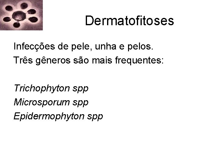 Dermatofitoses Infecções de pele, unha e pelos. Três gêneros são mais frequentes: Trichophyton spp Dermatofitoses Infecções de pele, unha e pelos. Três gêneros são mais frequentes: Trichophyton spp